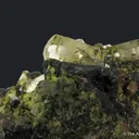 Mimetite (1971 Gem Pocket) - image 3