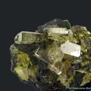 Mimetite (1971 Gem Pocket) - image 5