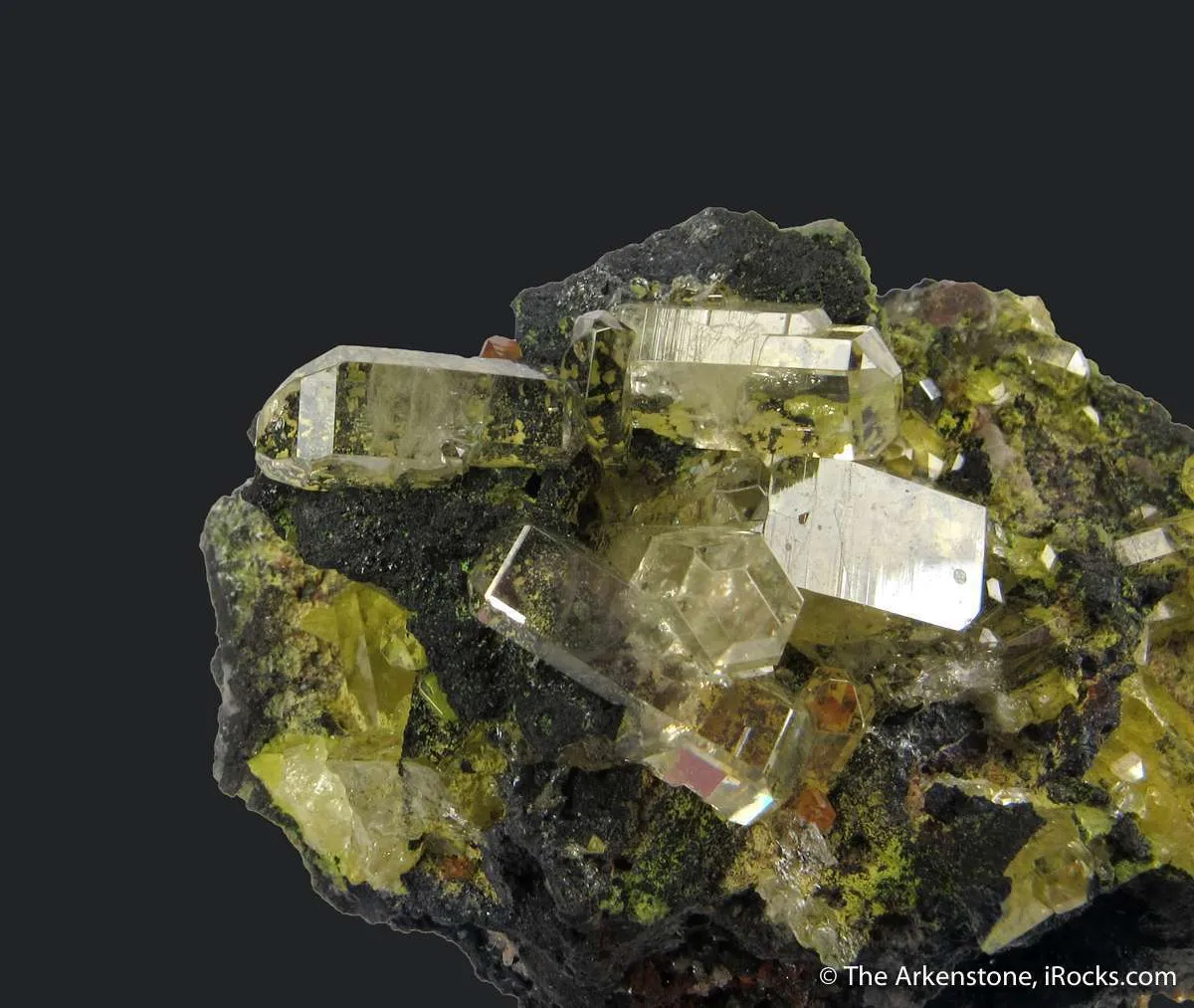 Mimetite (1971 Gem Pocket) - image 5