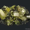 Mimetite (1971 Gem Pocket) - image 2