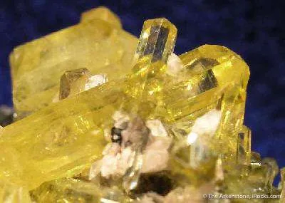 Mimetite (1971 Gem Pocket) - image 3