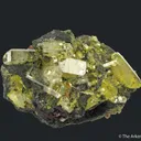 Mimetite (1971 Gem Pocket) - image 1