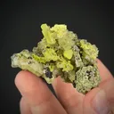 Mimetite (1971 Gem Pocket) with Beaverite - image 2