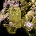 Mimetite (1971 Gem Pocket) with Beaverite - image 1