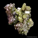 Mimetite (1971 Gem Pocket) with Beaverite - image 5