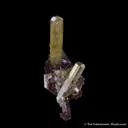 Mimetite - image 1