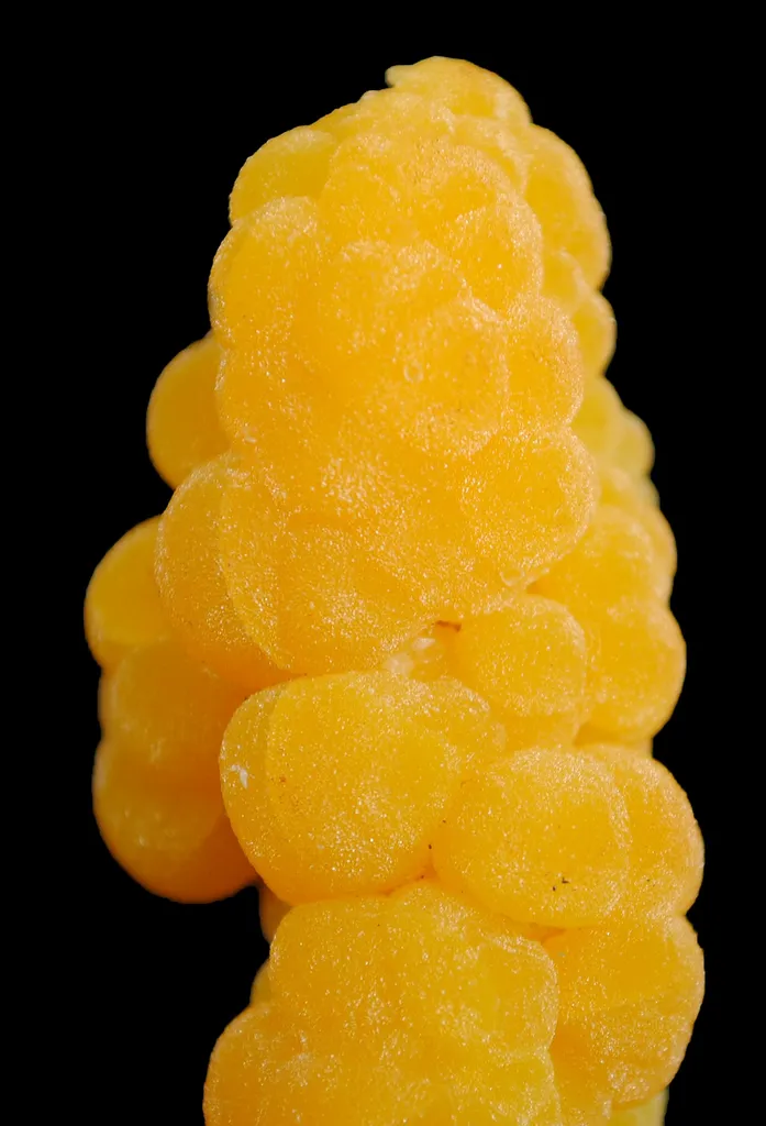 Mimetite - image 3