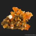 Mimetite - image 3