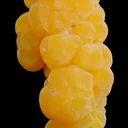 Mimetite - image 1