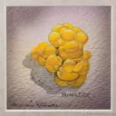 Mimetite - image 3