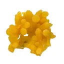 Mimetite - image 1
