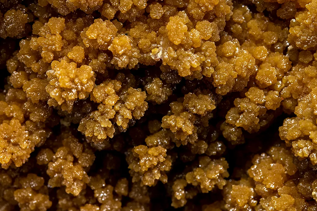 Mimetite - image 2