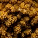 Mimetite - image 2