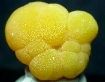 Mimetite image