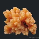 Mimetite - image 3