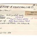 Mimetite - image 5