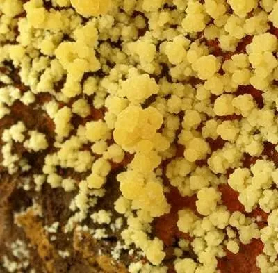 Mimetite - image 2