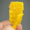 Mimetite after Wulfenite - image 1