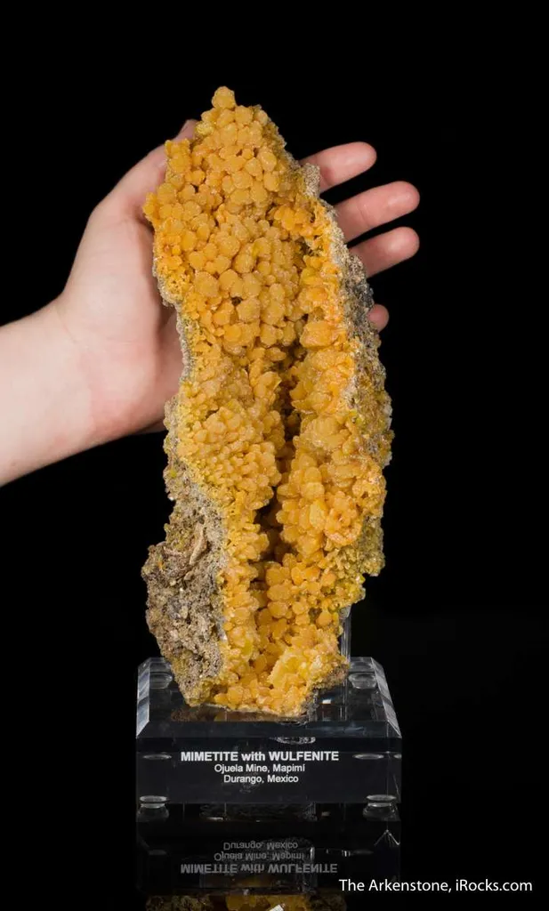 Mimetite and Wulfenite - image 4