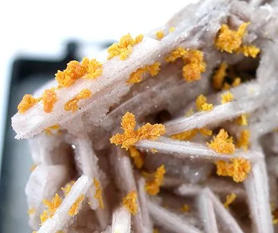 Mimetite, Baryte - image 2