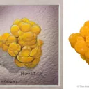 Mimetite - image 1