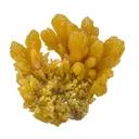 Mimetite - image 1