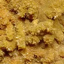 Mimetite - image 2