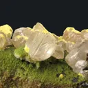 Mimetite, Cerussite, Mottramite, Calcite - image 2