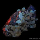 Mimetite, Cerussite, Mottramite, Calcite - image 7
