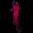 Mimetite - image 2