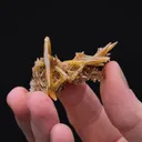 Mimetite - image 2