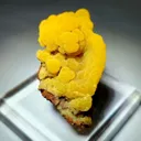 Mimetite from Mexico - image 1