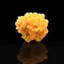 Mimetite from Mexico, Durango, Mapimí Municipality, Mapimí, Ojuela Mine - image 1