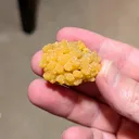 Mimetite from Mexico, Durango, Mapimí Municipality, Mapimí, Ojuela Mine - image 3