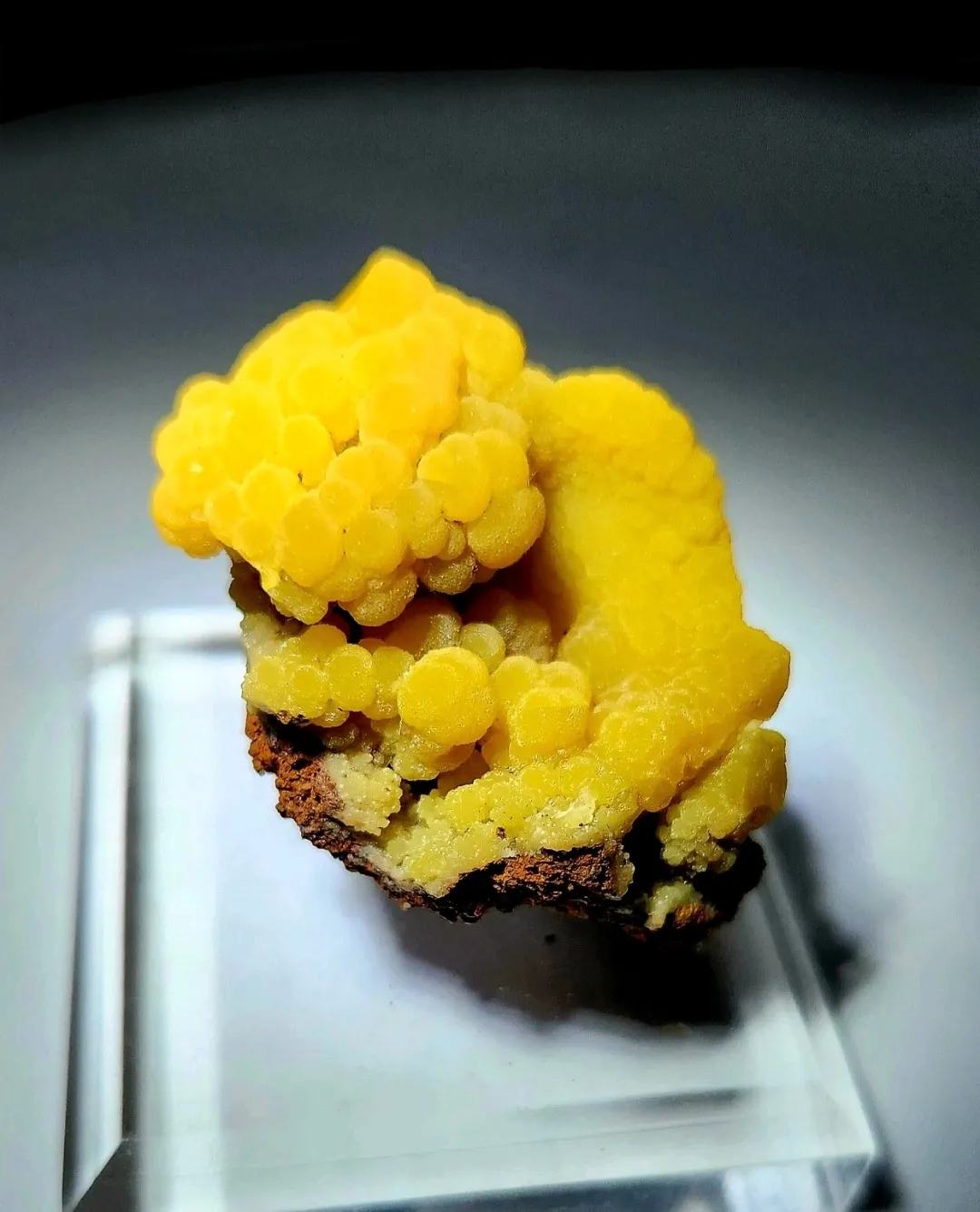 Mimetite from Mexico - image 2