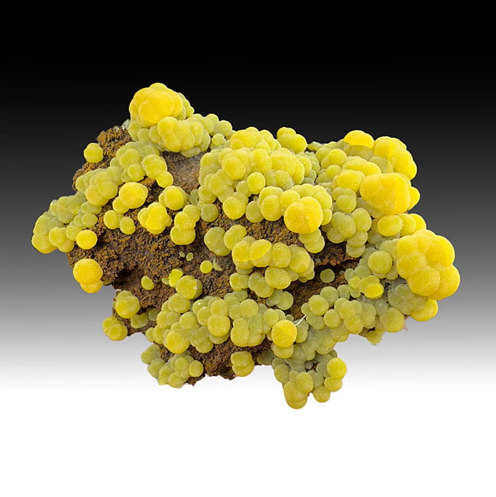 Mimetite from San Pedro Corralitos, Chihuahua, Mexico image