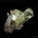 Mimetite (Gem Pocket 1971) - image 5