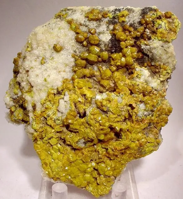 Mimetite, Mimetite (Var: Campylite) image
