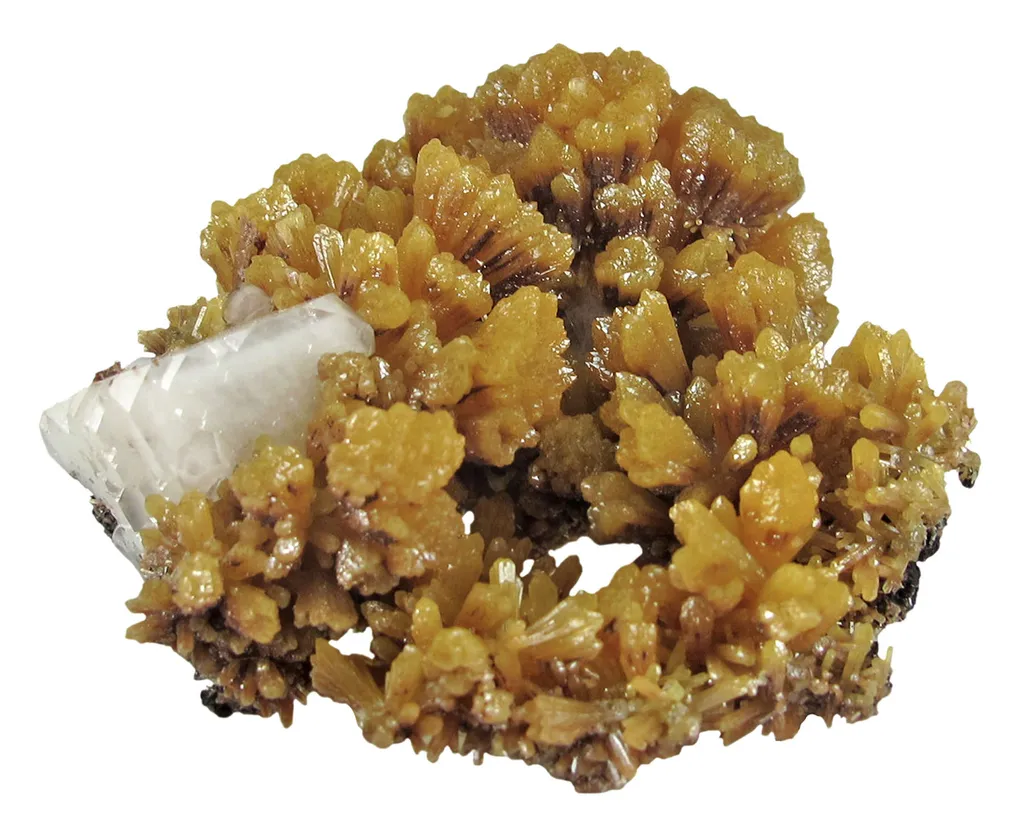 Mimetite on Calcite image