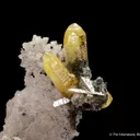 Mimetite on Cerussite - image 7