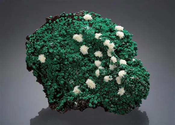 Mimetite on Malachite image