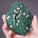 Mimetite on Malachite - image 2