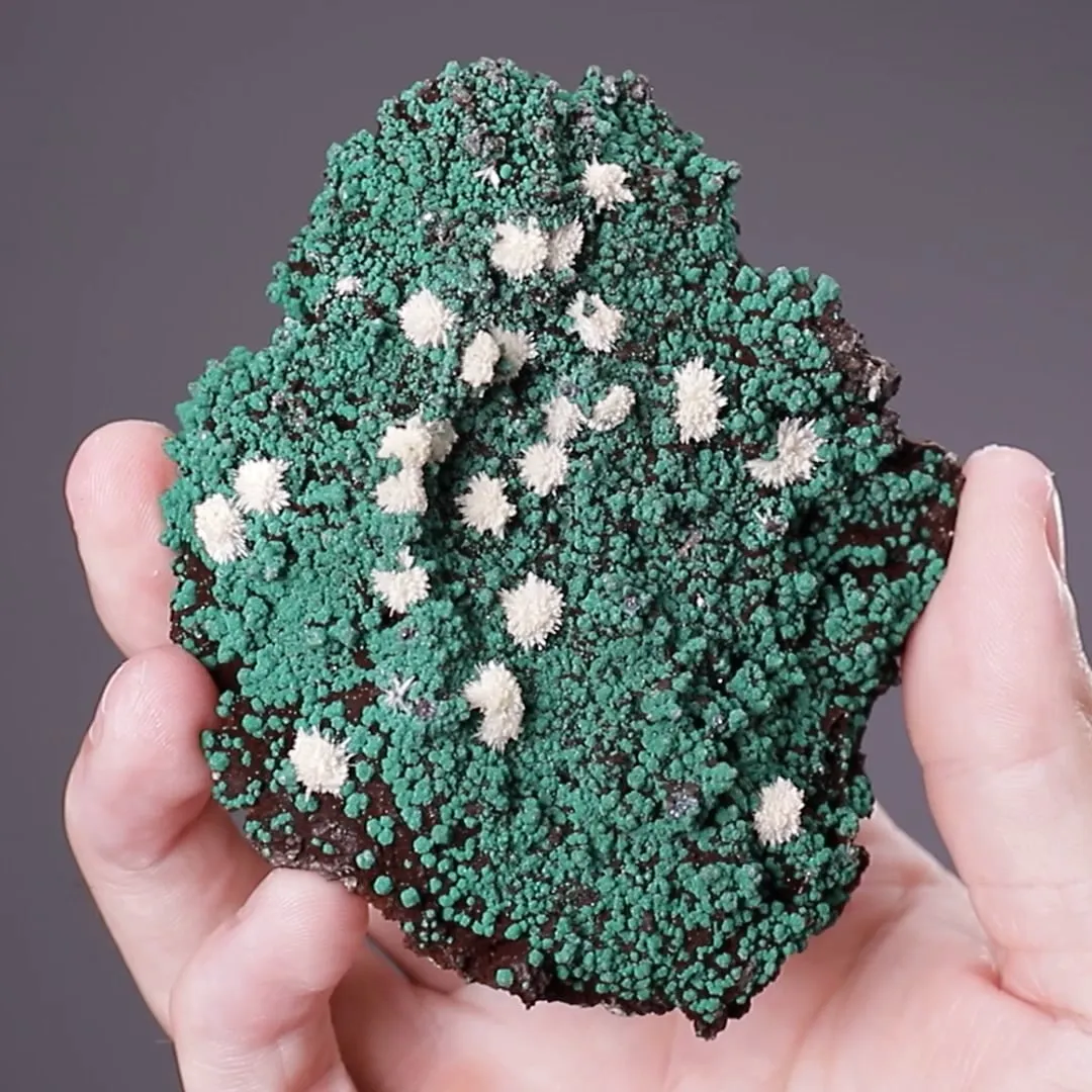 Mimetite on Malachite - image 2