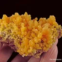 Mimetite on Mimetite - image 6