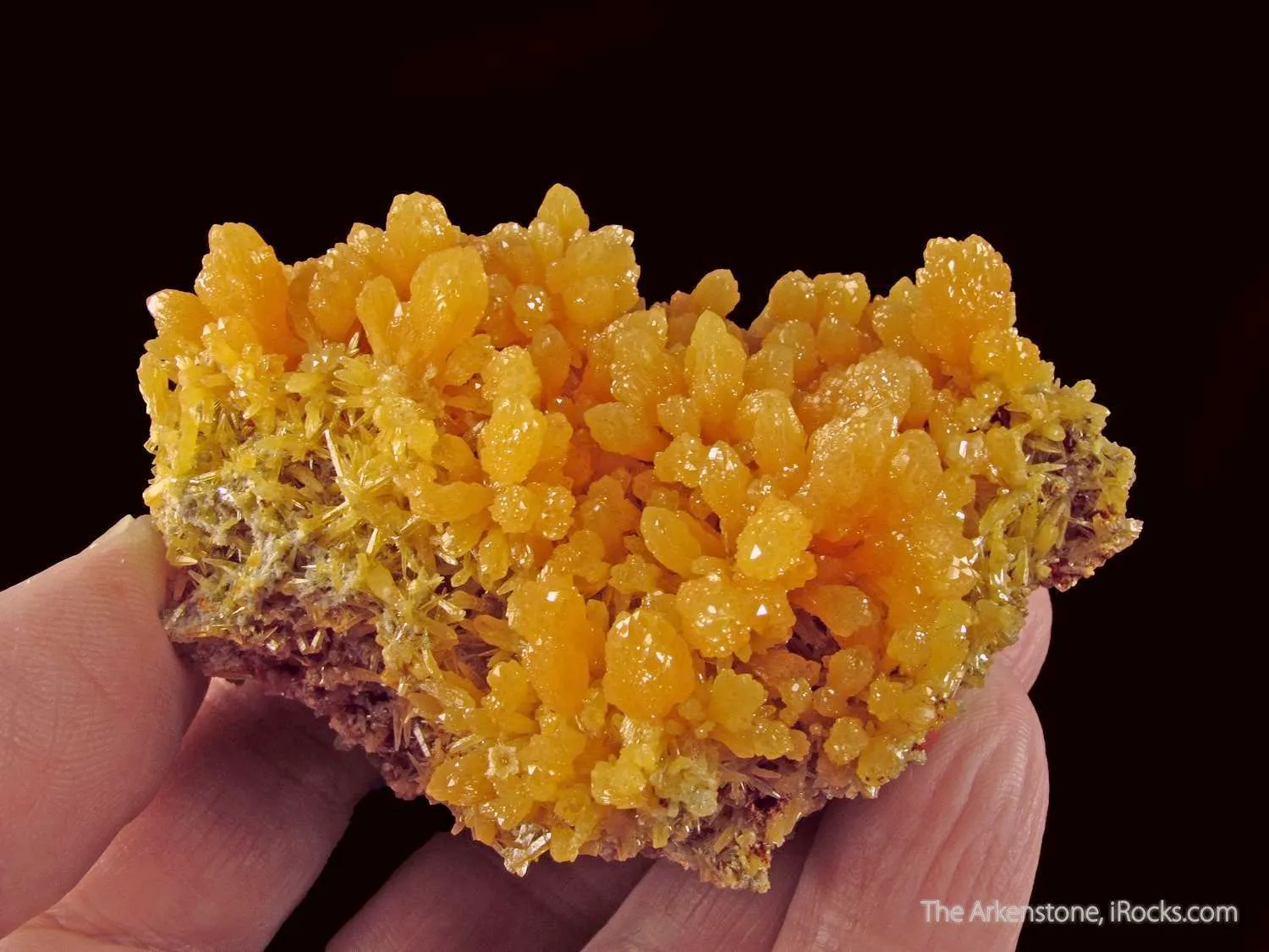 Mimetite on Mimetite - image 6