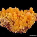 Mimetite on Mimetite - image 1