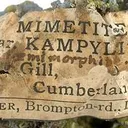 Mimetite on Plumbogummite - image 4