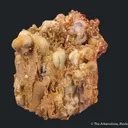 Mimetite on Smithsonite (circa 1920's) - image 2