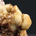 Mimetite on Smithsonite (circa 1920's) - image 1