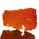 Mimetite on Wulfenite - image 1